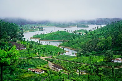 Lipin Unni/Shutterstock.com : The verdant landscape of Valparai