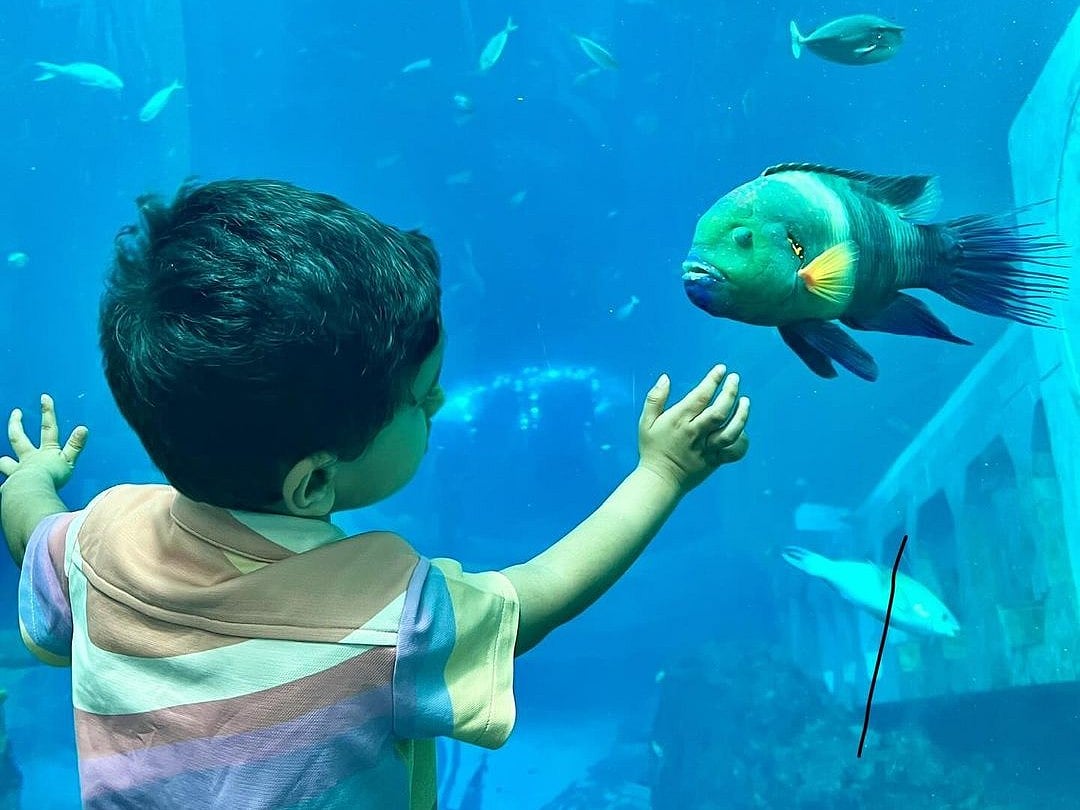 Ayaan at Yas Island, Abu Dhabi