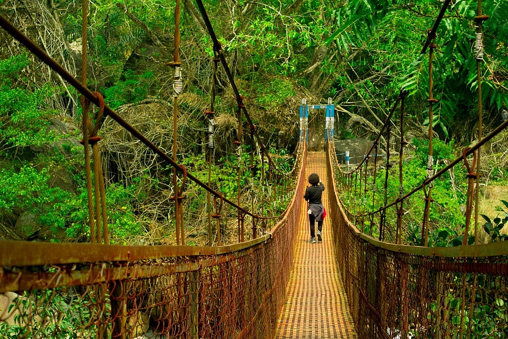 A young trekker on a suspension bridge in Nongriat