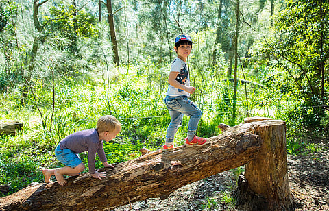 Exploring the outdoors in the Centennial Parklands