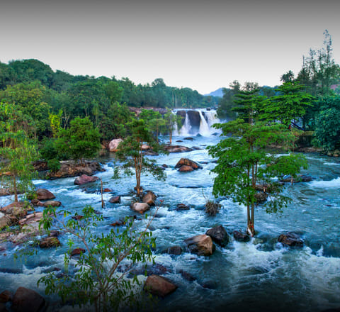 A calm Thiruparappu Falls 