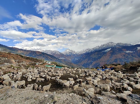 A view of the Himalayas Panchachuli