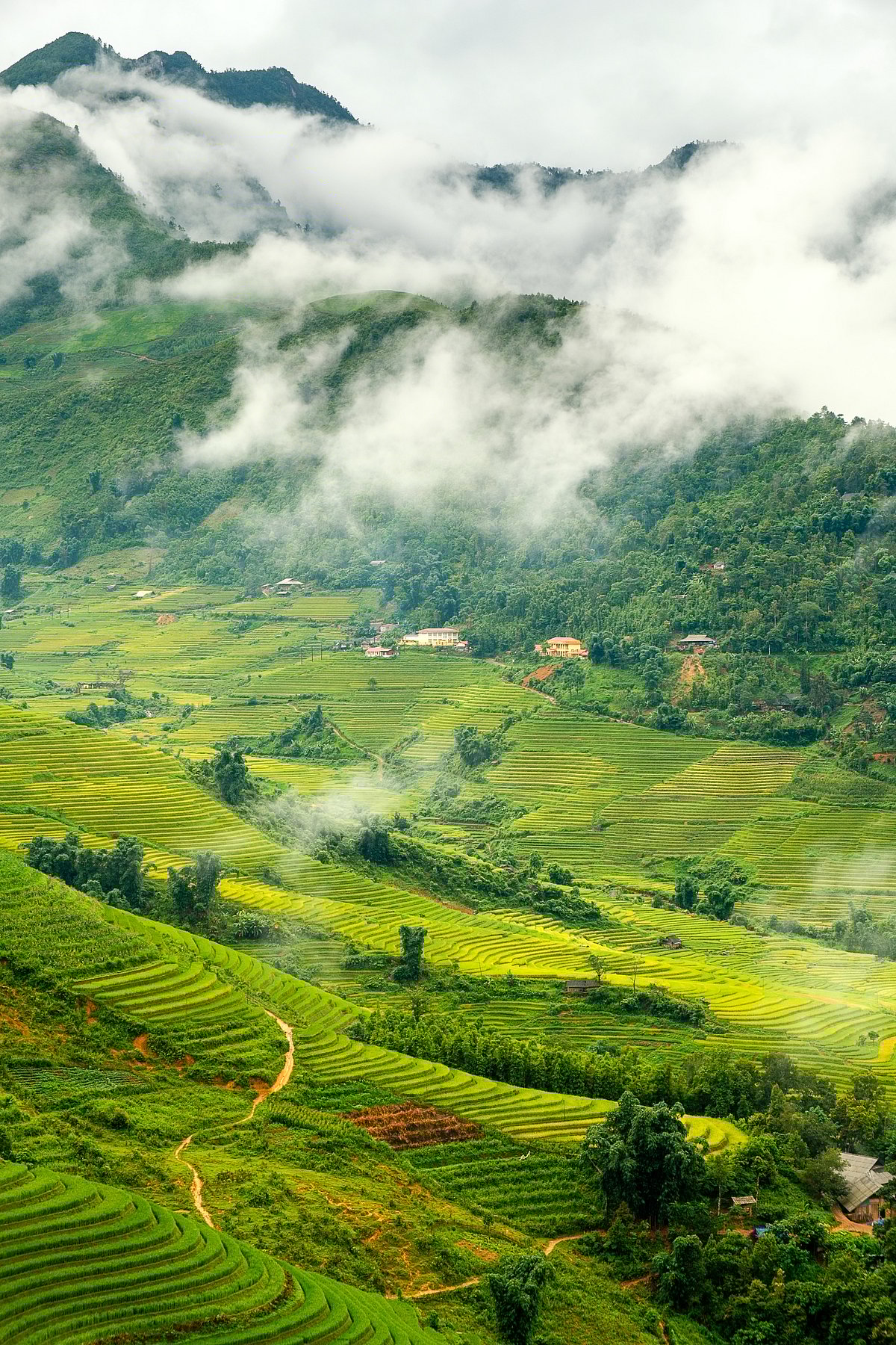 The scenic Sapa Valley underwent destructions 