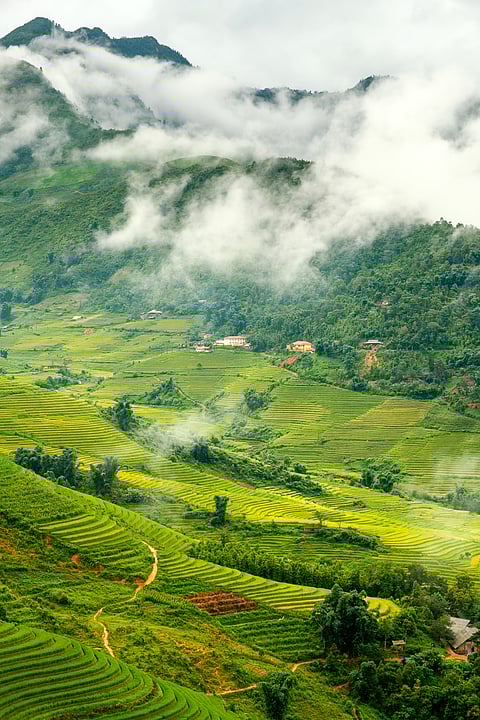 The scenic Sapa Valley underwent destructions 