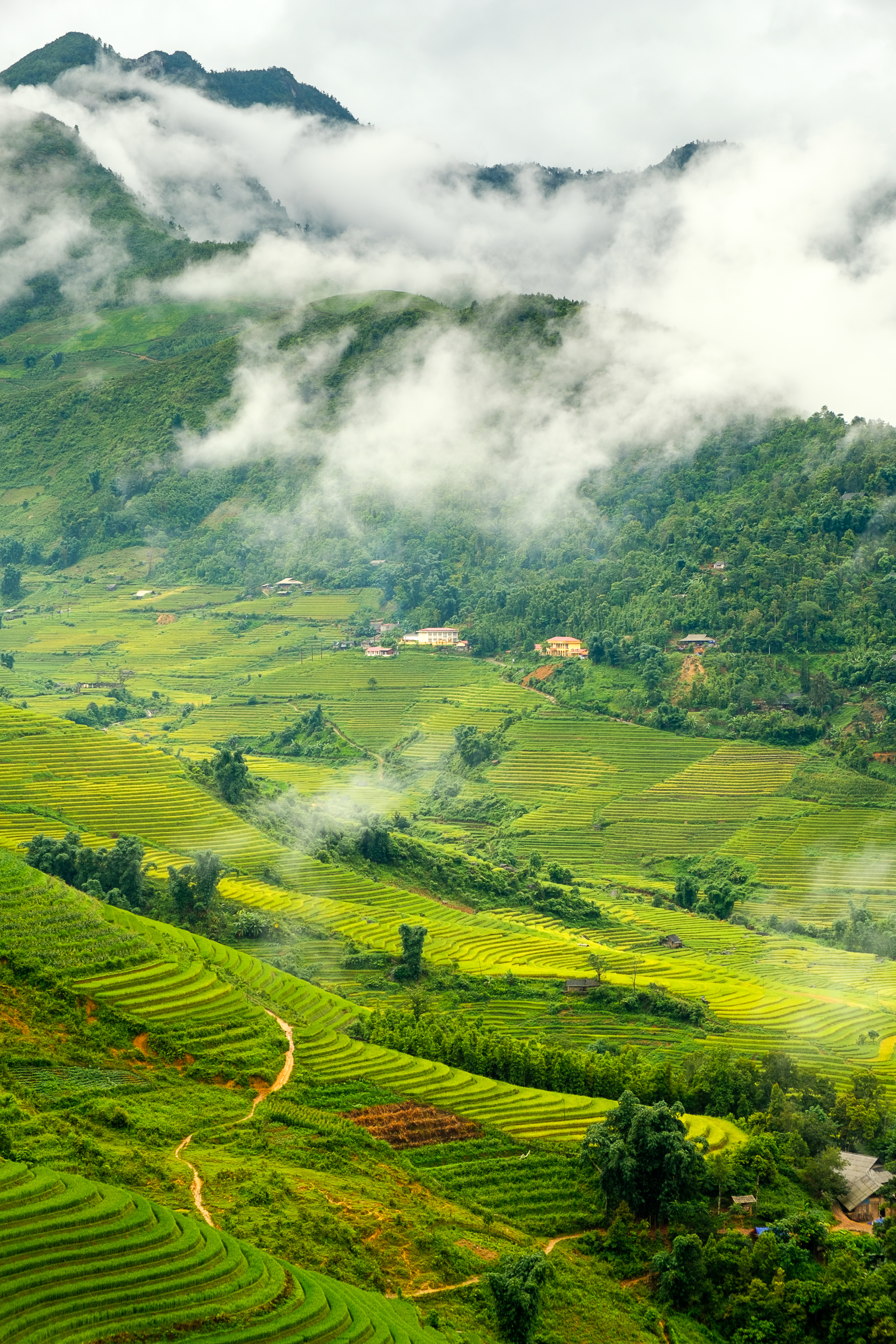 The scenic Sapa Valley underwent destructions
