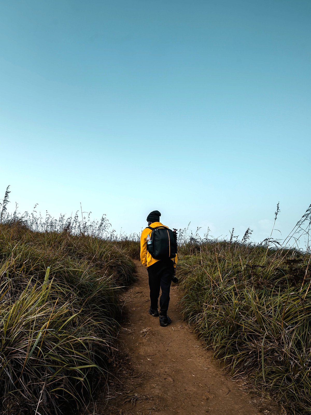 Shutterstock.com : Chembra Peak