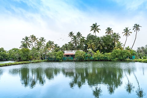 A view of the Kuttanad region