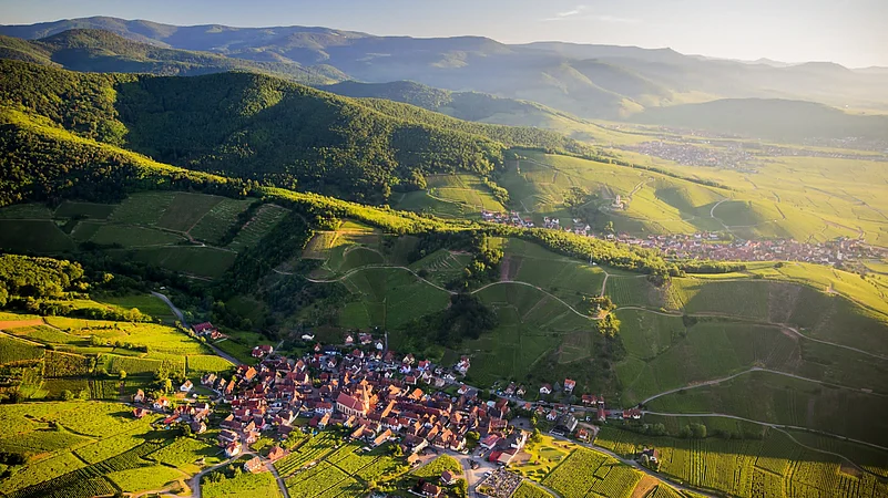 Explore Alsace wine route
