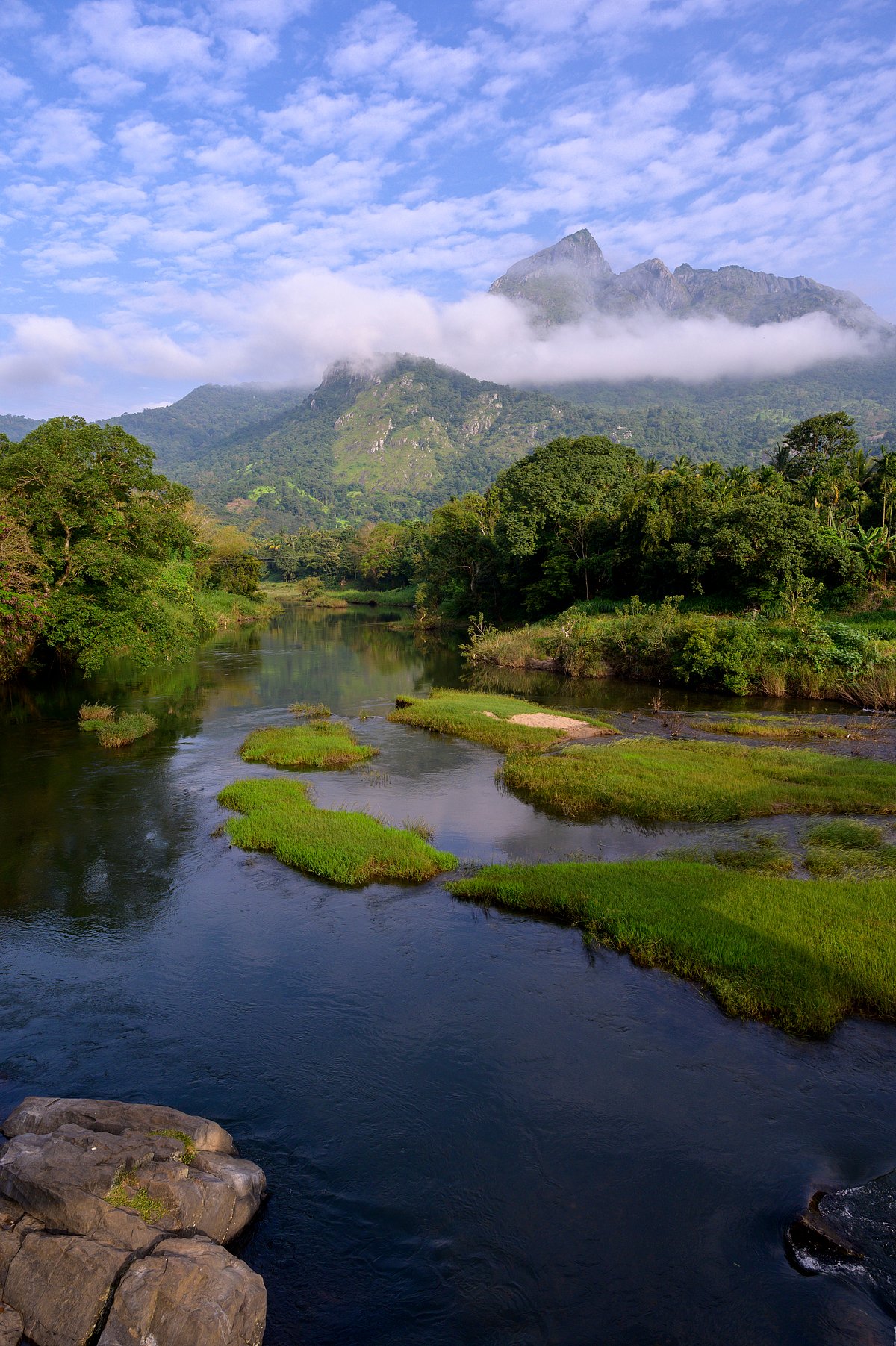 Shutterstock : Silent Valley National Park in Kerala during the rainy season