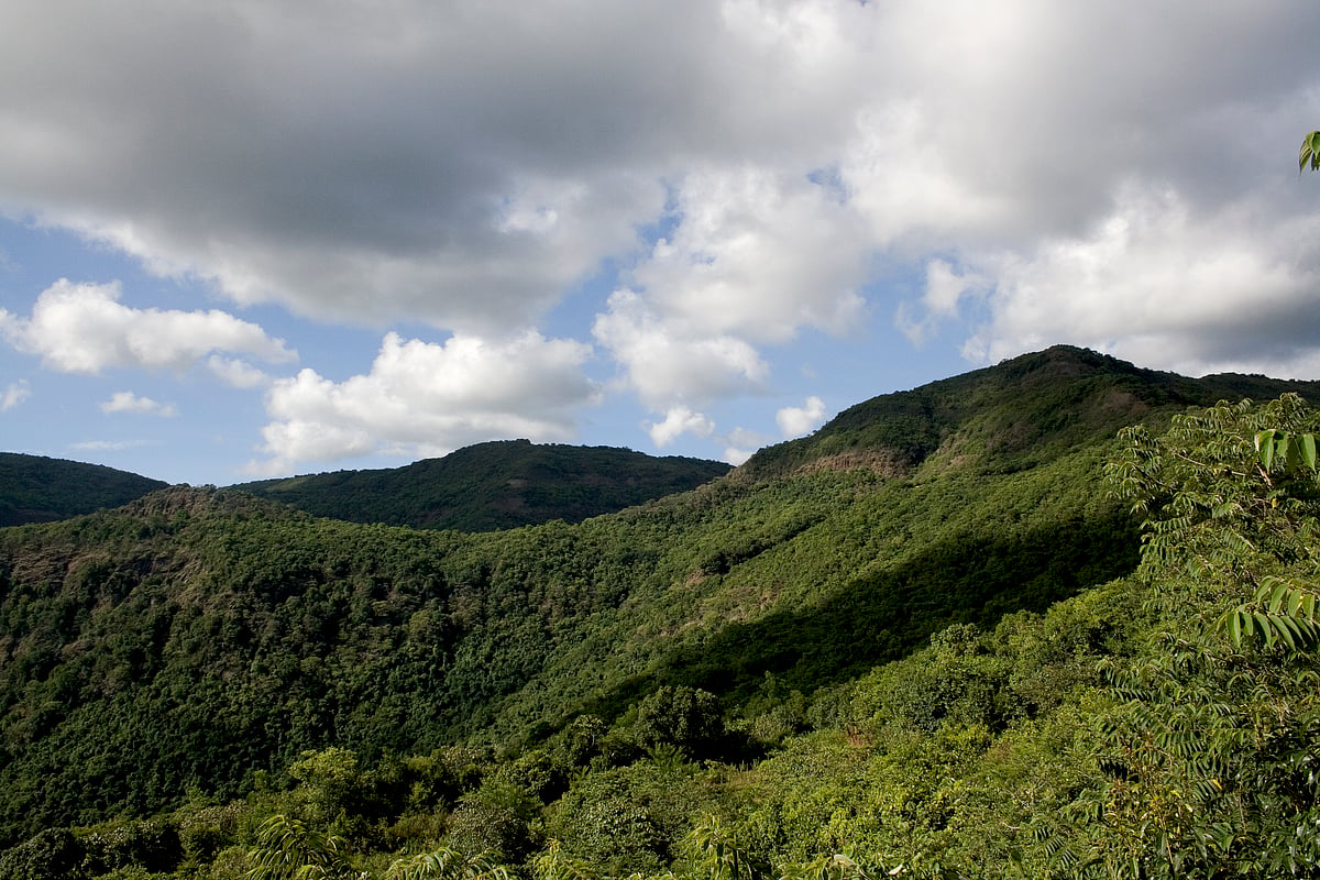 The lush terrain around the resort
