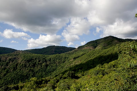 The lush terrain around the resort
