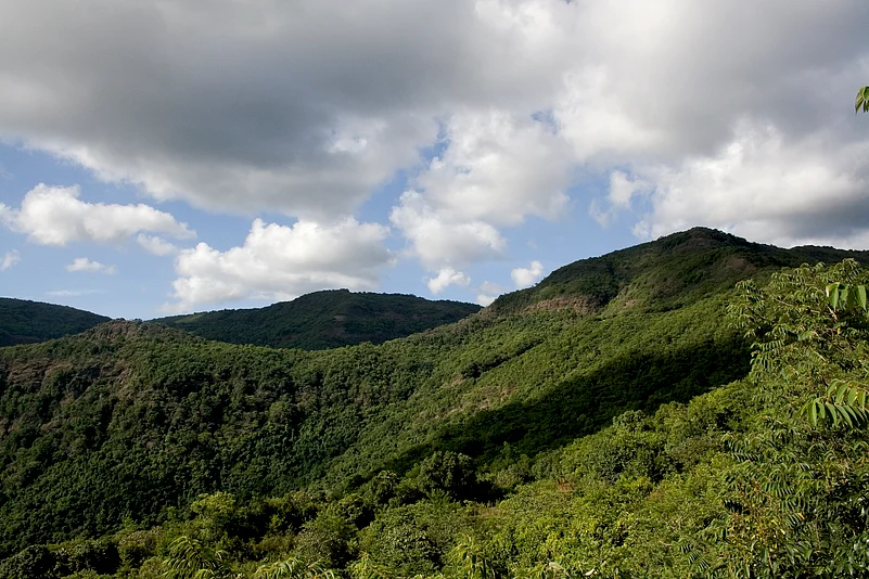 The lush terrain around the resort