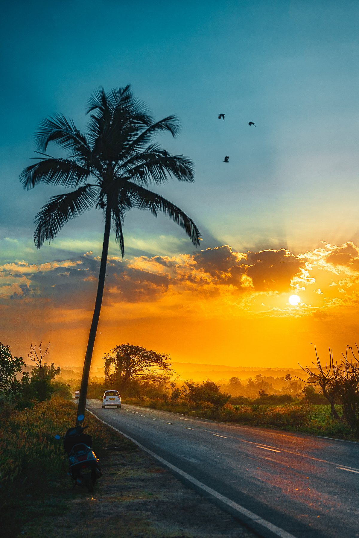 Shutterstock : Sunrise in Goa
