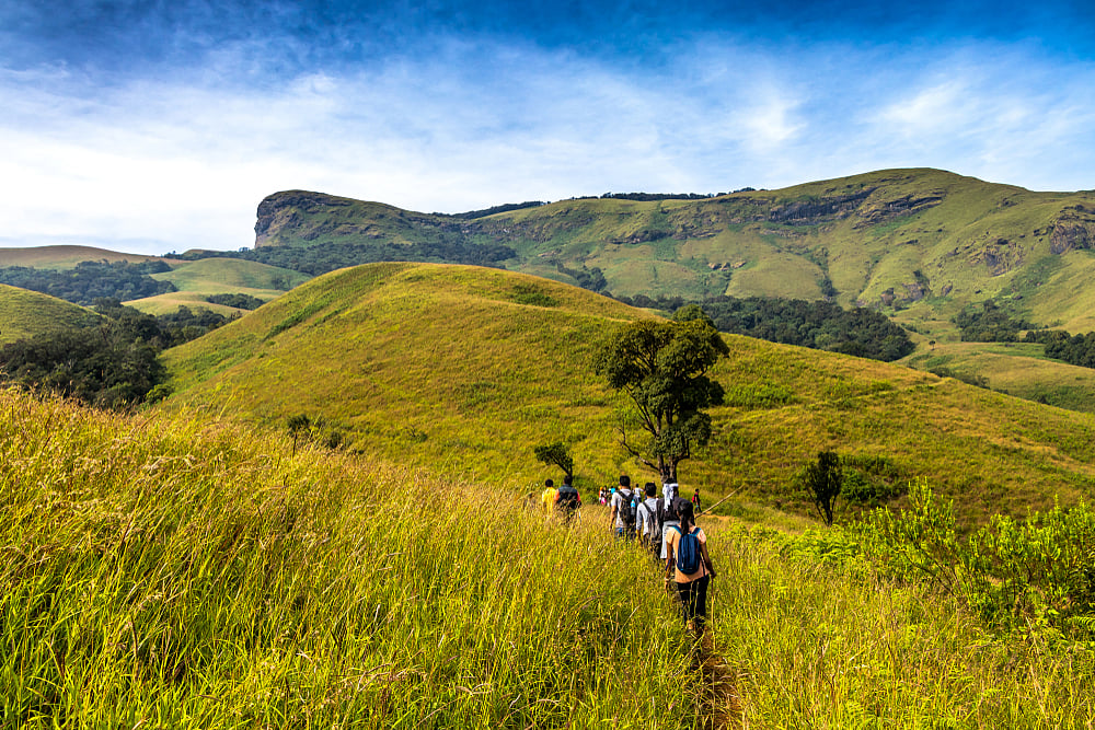 Trekking through the grasslands of Kudremukh