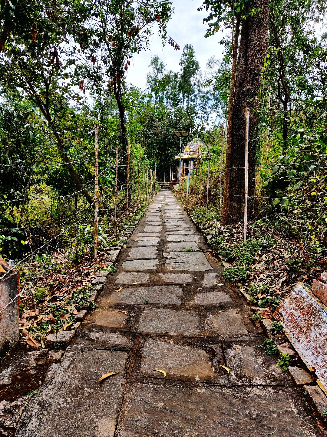 Channagiri Trek