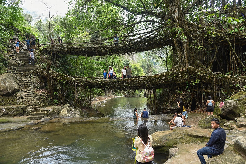 At the double decker living root bridge in Nongriat village