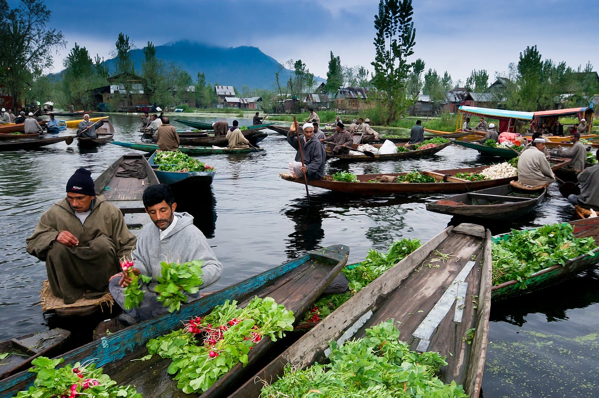 Floating market, Dal Lake