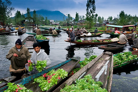 Floating market, Dal Lake