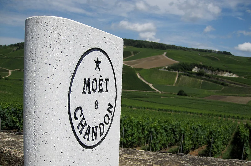 The Moët & Chandon Vineyard in Champagne
