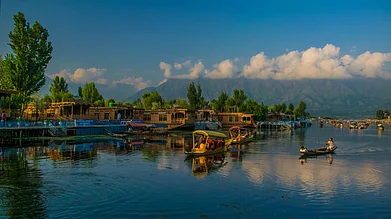 Shutterstock : Shikaras on Dal Lake, Srinagar