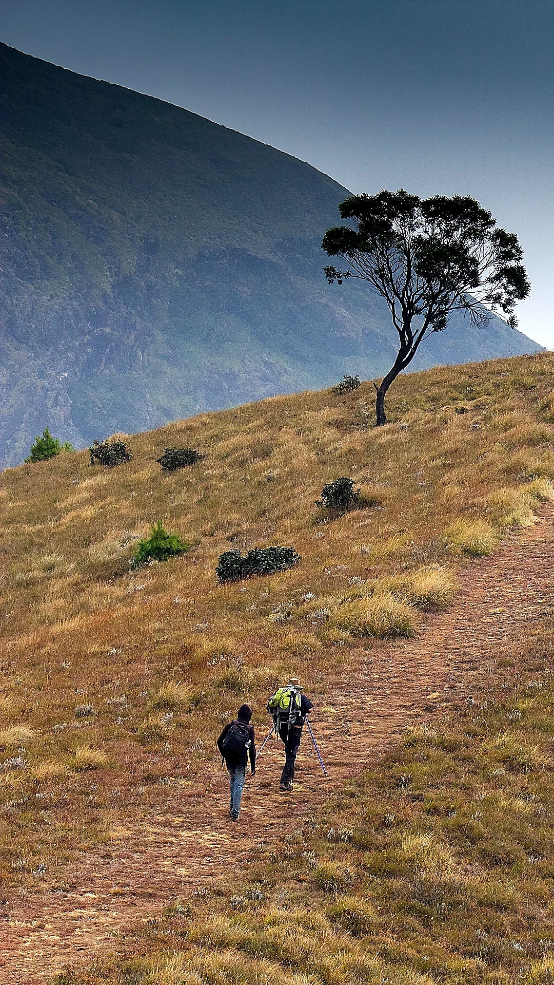 Meesapulimala Trek