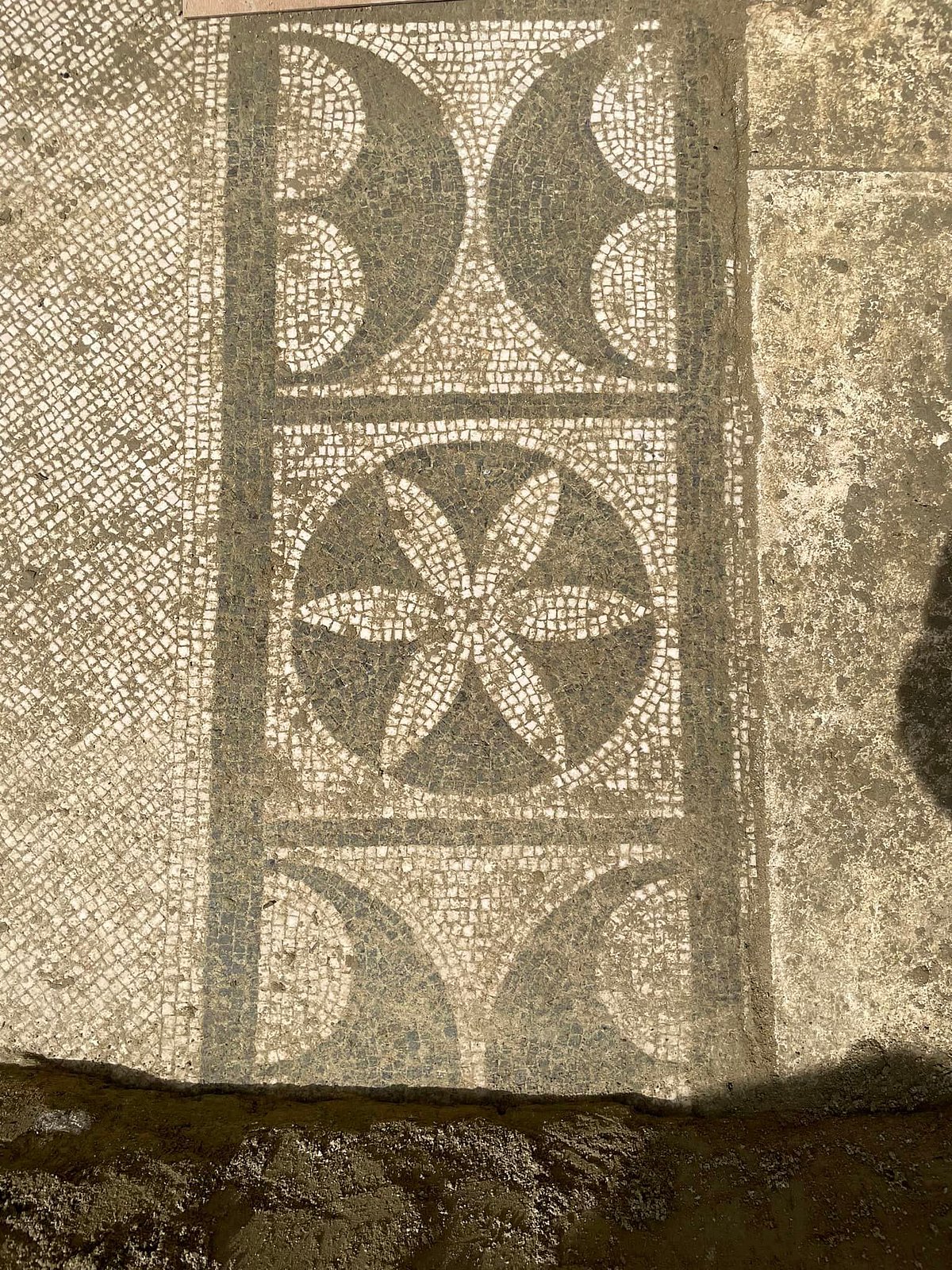 The Roman pool was fitted with mosaics on the floor, featuring intricate geometric motifs crafted from marble, stone, glass and ceramics