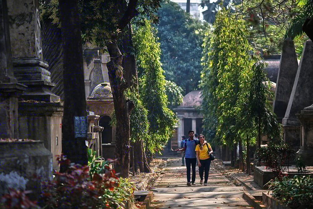 Old trees and ancient gravestones in South Park Street Cemetery