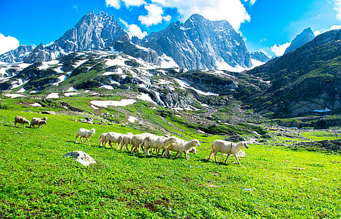 Sonmarg