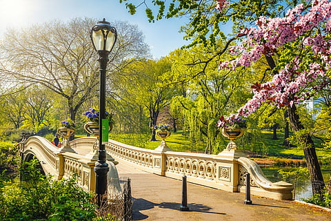 Bow Bridge in Central Park on a spring sunny day, New York City