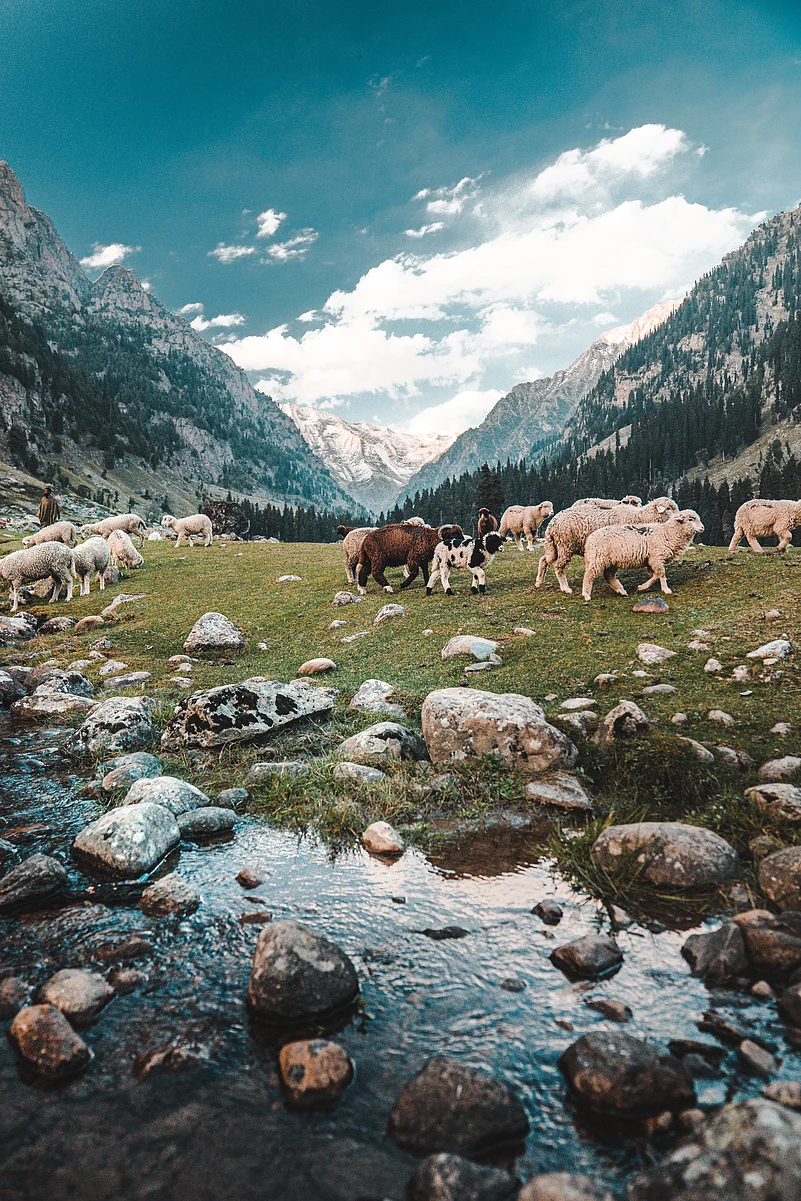A view from the Tarsar Marsar Lake trek