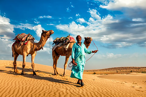 The terrain for camel safari in Jaisalmer