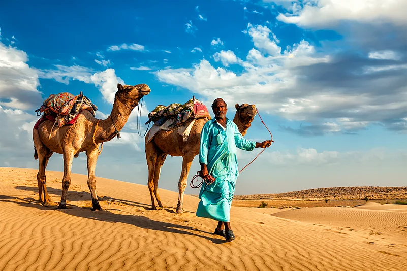 The terrain for camel safari in Jaisalmer