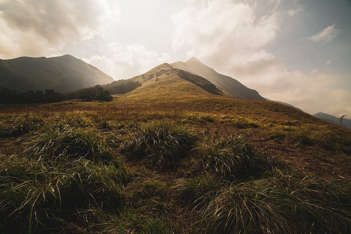 A view of the Chembra Peak, Wayanad