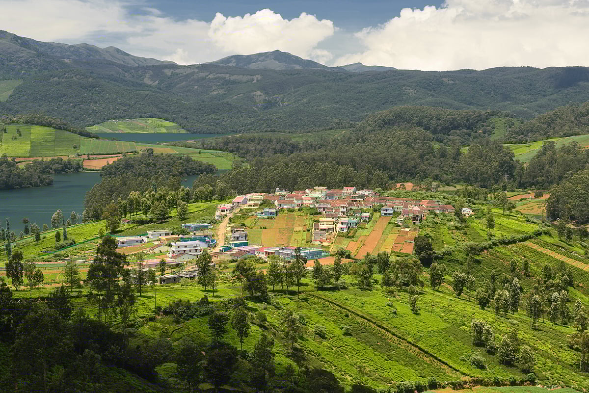 Shutterstock : Emerald Lake, Nilgiris, Ooty