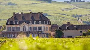 Châteaux de Pommard