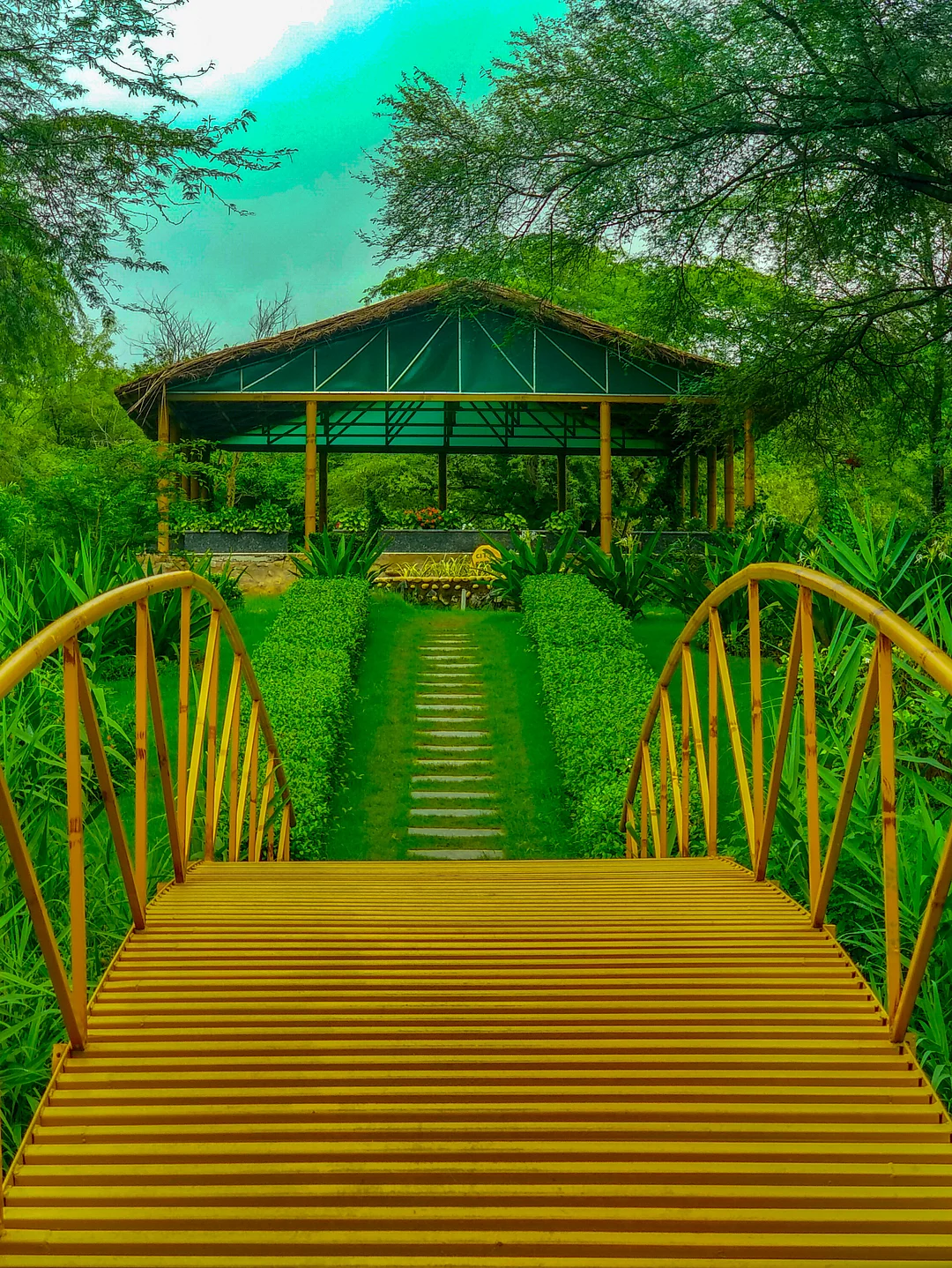 A forest reserve in Chandigarh