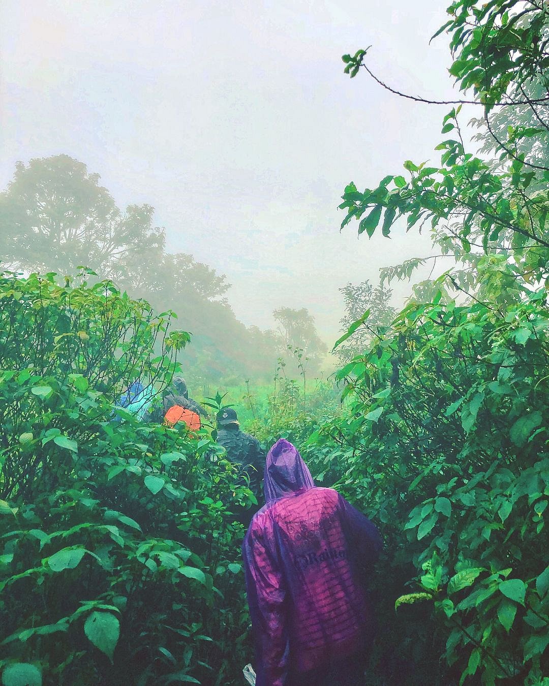 More than 40 percent are taking to rejuvenating vacations that let you immerse yourself in nature and lead to self-discovery