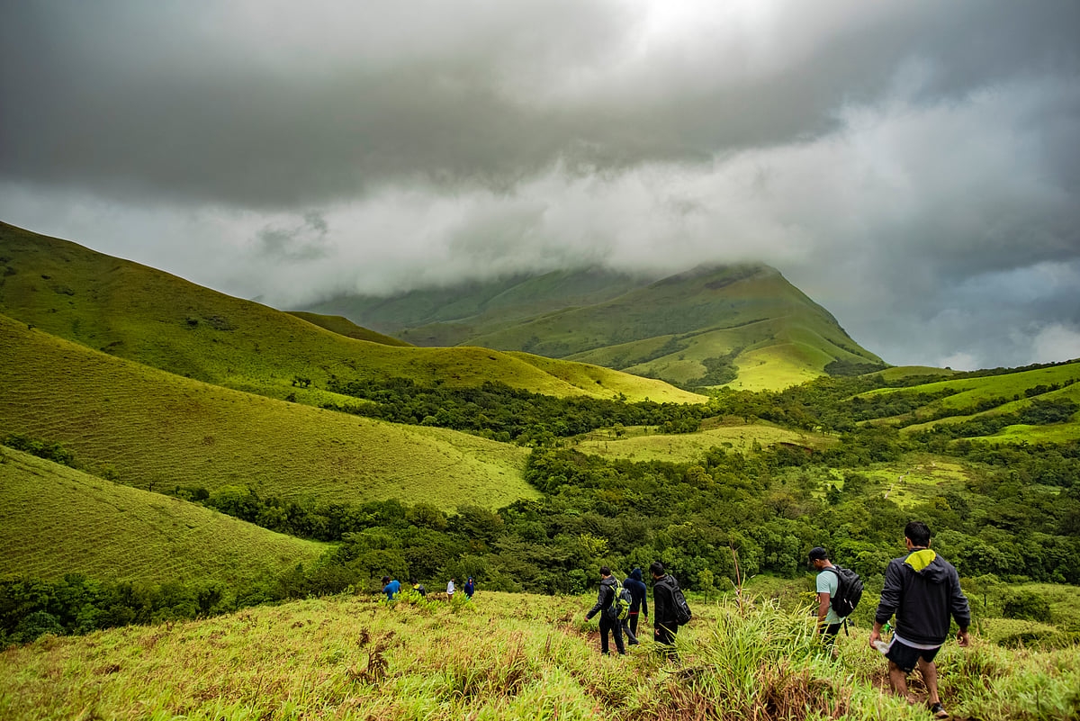 Trekking in Kudremukha National Park
