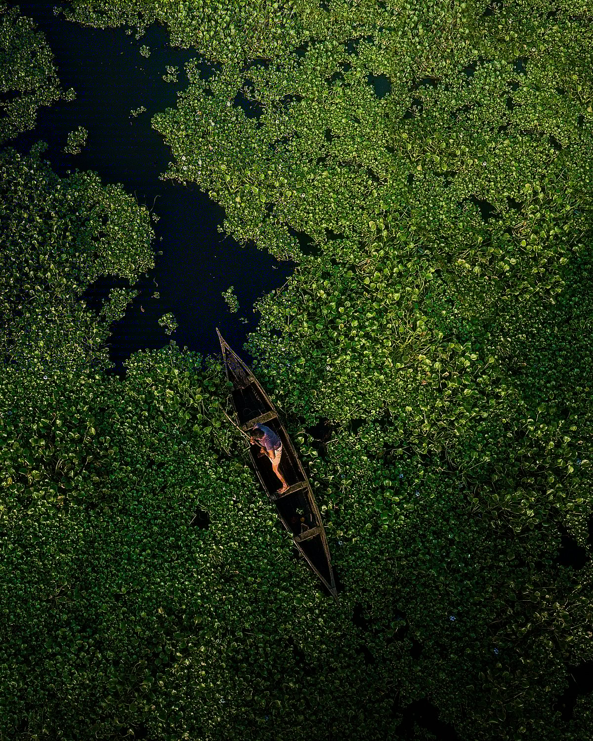 Shutterstock.com : The backwaters of Kerala