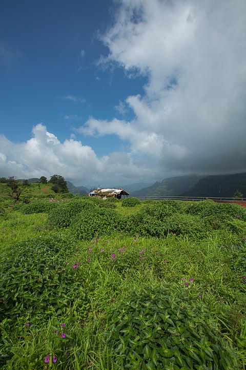 Kavalshet Point in Amboli