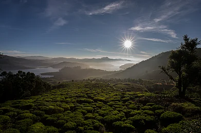 GouthamShankar/Shutterstock.com : Ooty recorded its highest-ever temperature of 29°C on Monday