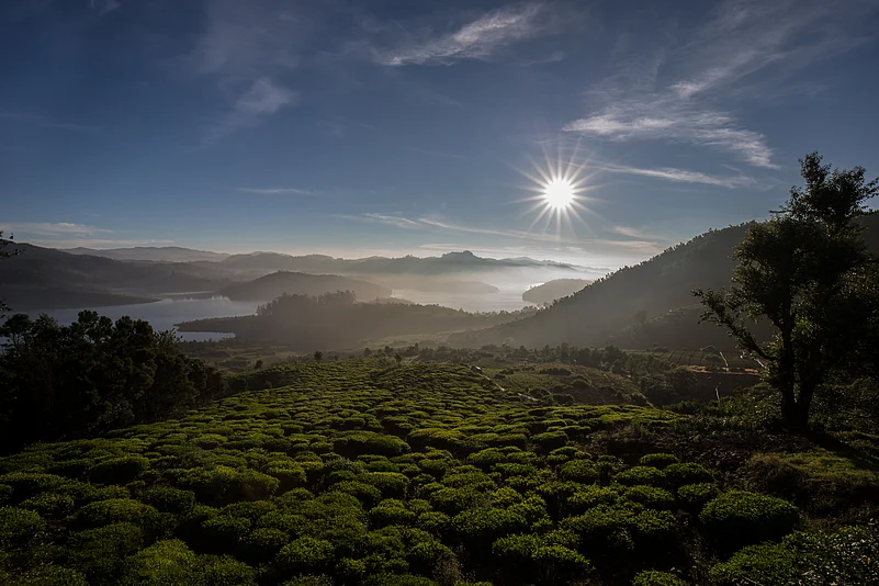 GouthamShankar/Shutterstock.com