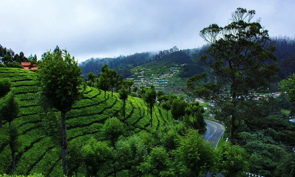Gaurav6970/Shutterstock