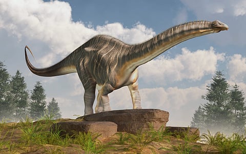 Apatosaurus is a genus of herbivorous sauropod dinosaur that lived in North America during the Late Jurassic period