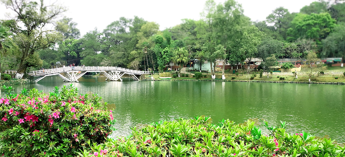 Wards Lake, Shillong
