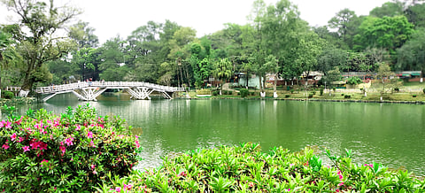 Ward's Lake, Shillong
