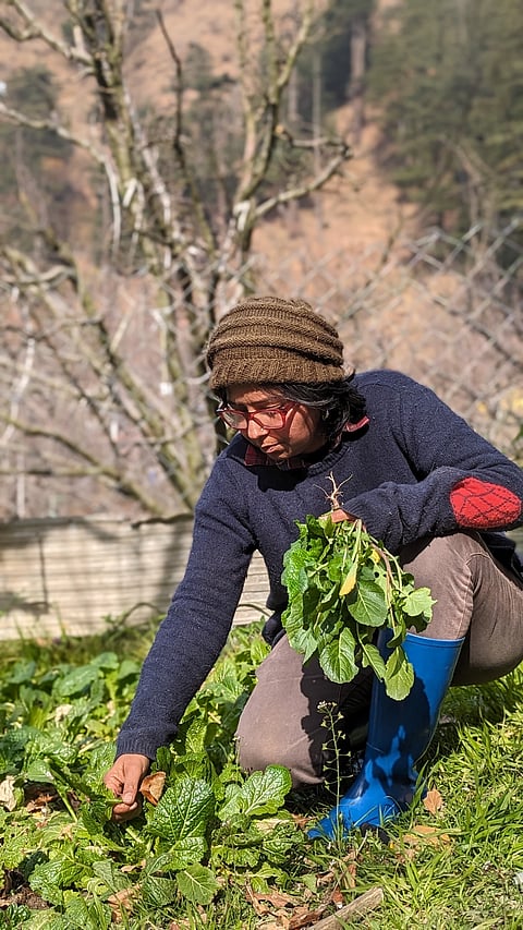 Seth at her farmstay
