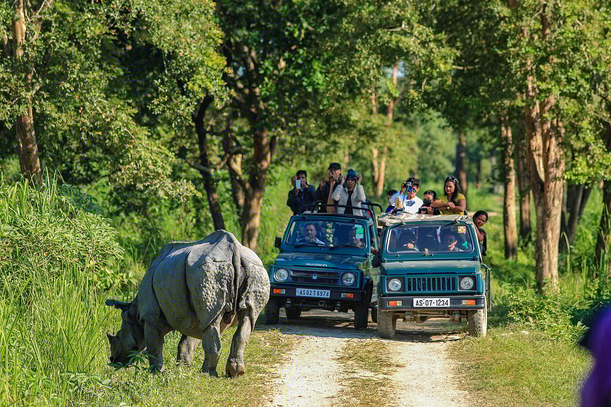 Tourists enjoy a jungle safari at Kaziranga National Park