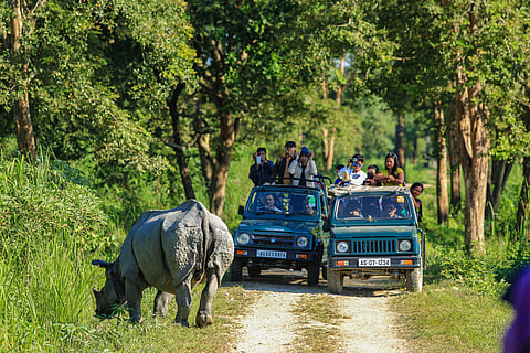 Hordes of tourists enjoying jungle safari at Kaziranga National Park