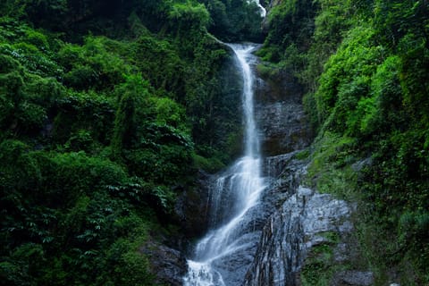 The beautiful Chadwick Falls of Shimla